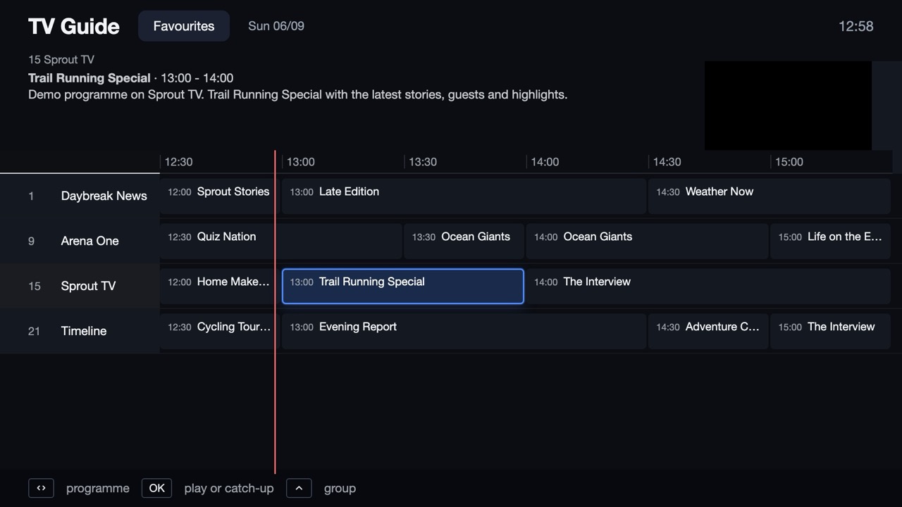 TV guide grid with preview