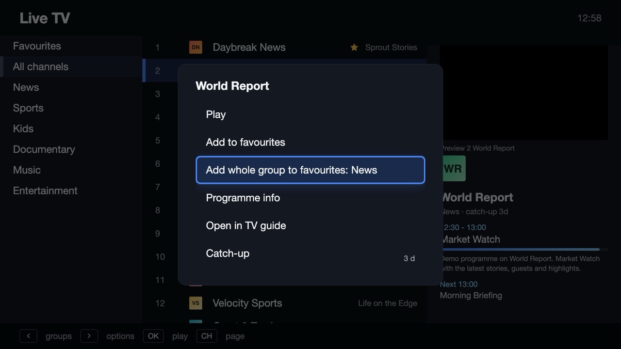 Live TV with channel groups, channel list and preview window